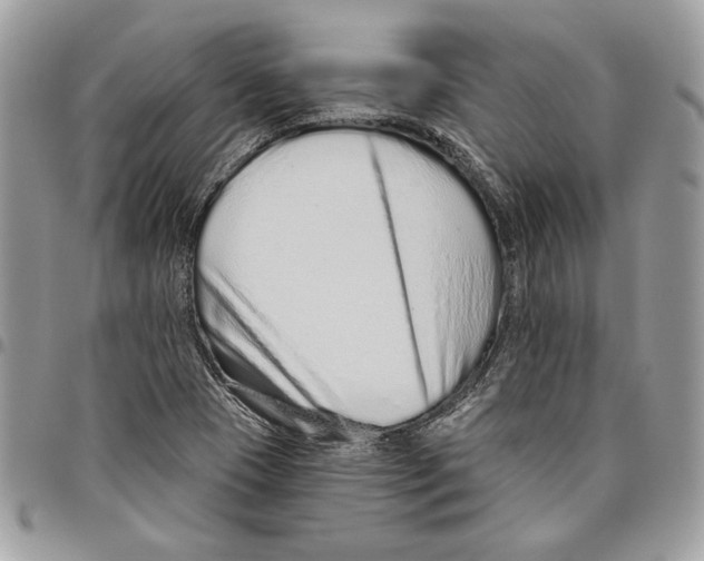 X0000095881409200802081044