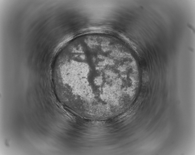 X0000095881411200802081044