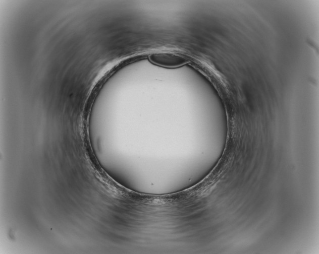 X0000095881412200802081044