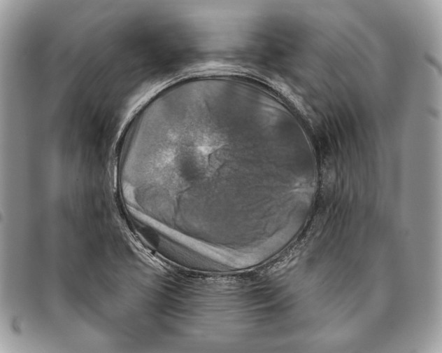 X0000095881413200802081044