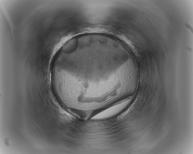 X0000095881414200802081044