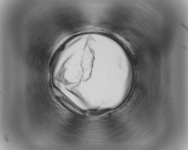 X0000095881415200802081044