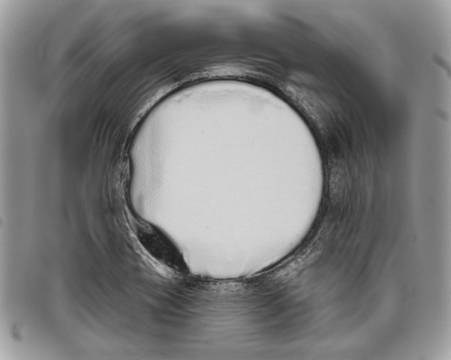 X0000095881417200802081044