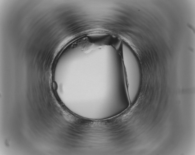 X0000095881418200802081044