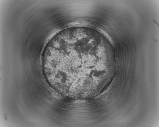 X0000095881419200802081044