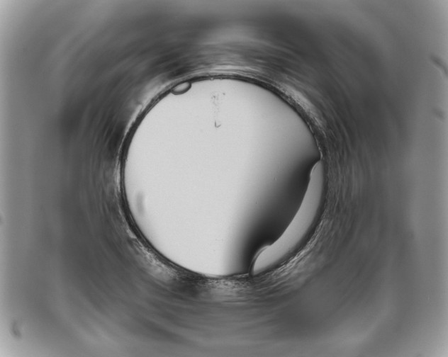 X0000095881420200802081044