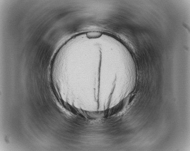 X0000095881421200802081044