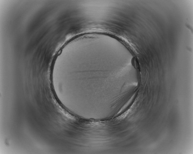 X0000095881422200802081044