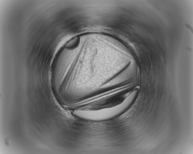 X0000095881424200802081044