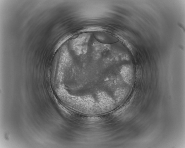 X0000095881425200802081044