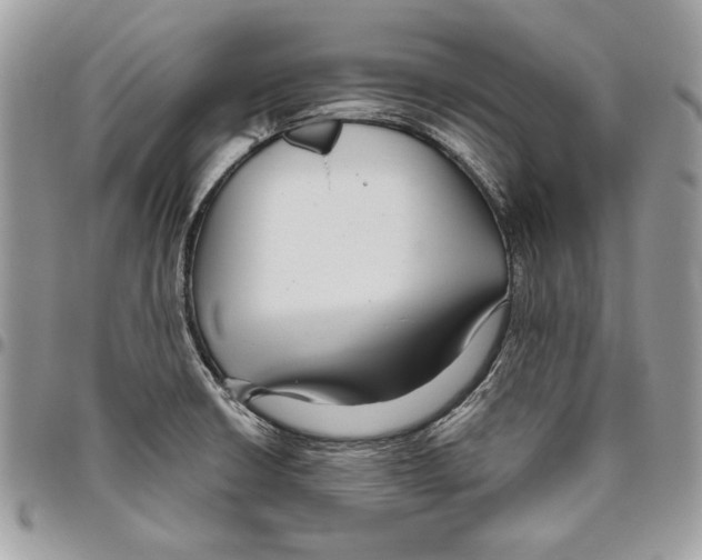 X0000095881426200802081044