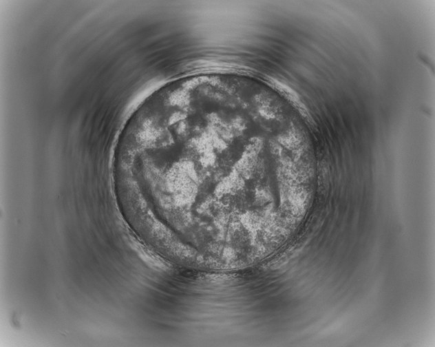 X0000095881427200802081044