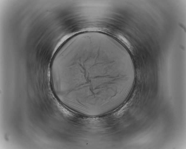 X0000095881428200802081044