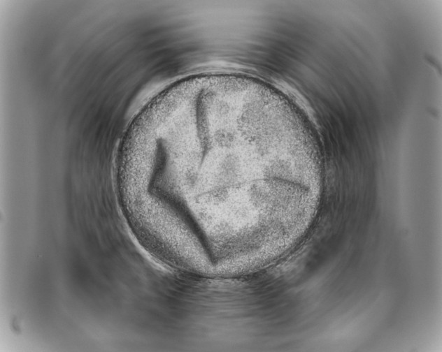 X0000095881429200802081044