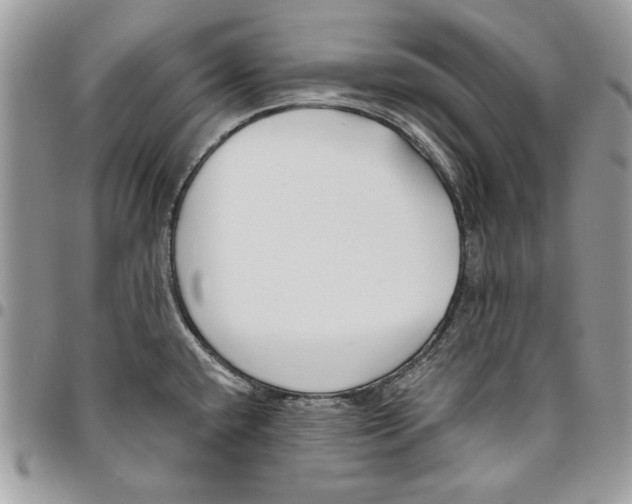 X0000095881432200802081044