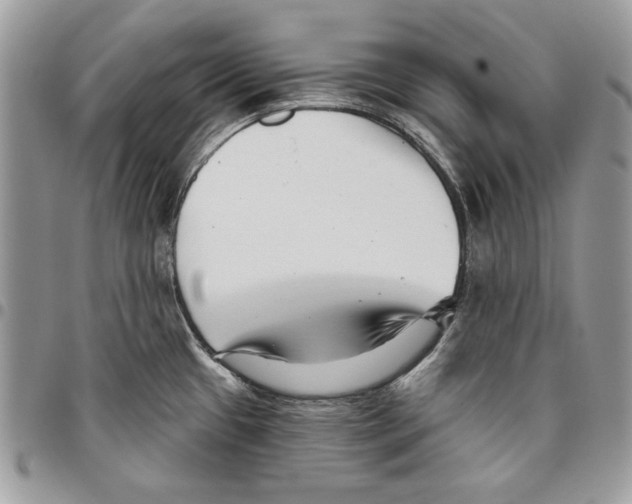 X0000095881433200802081044