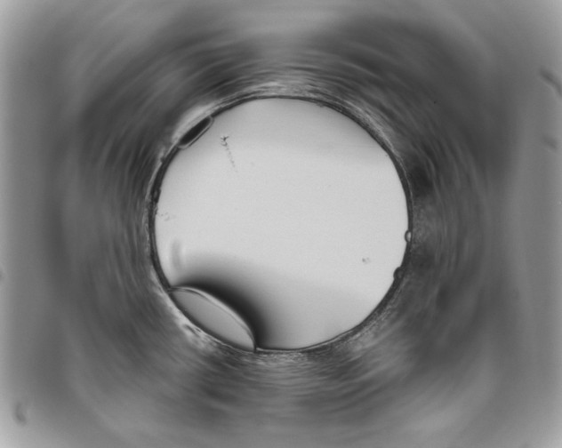 X0000095881434200802081044