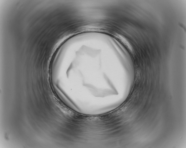 X0000095881435200802081044