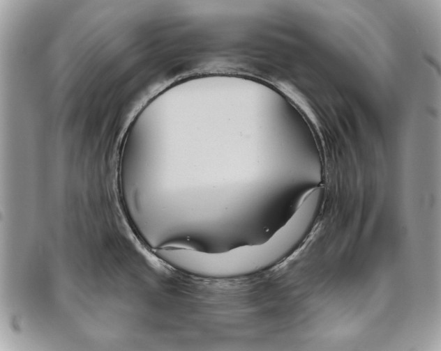 X0000095881437200802081044