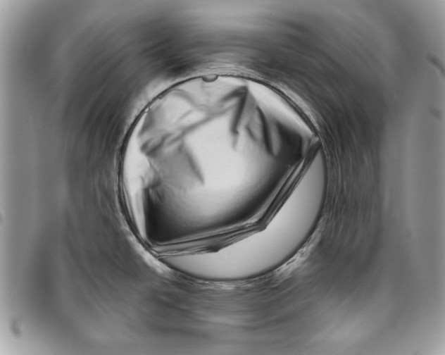 X0000095881438200802081044