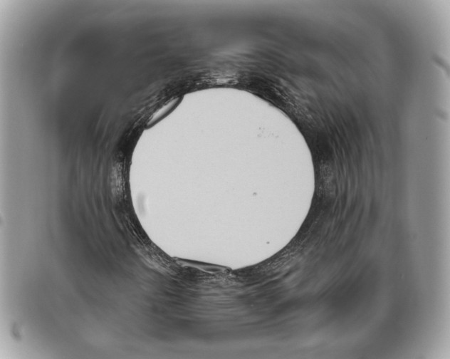 X0000095881442200802081044