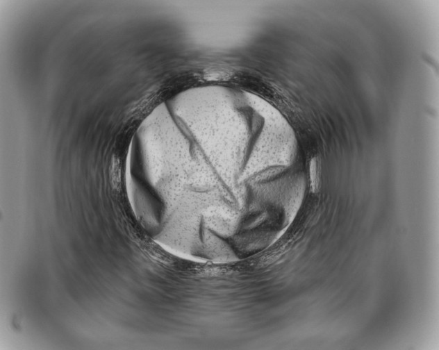 X0000095881443200802081044