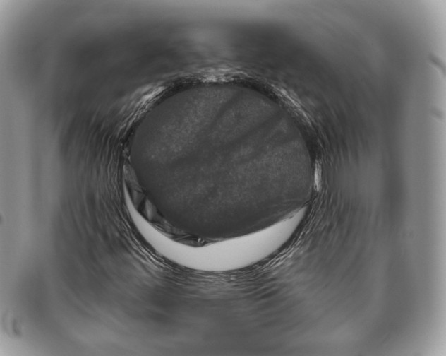 X0000095881444200802081044