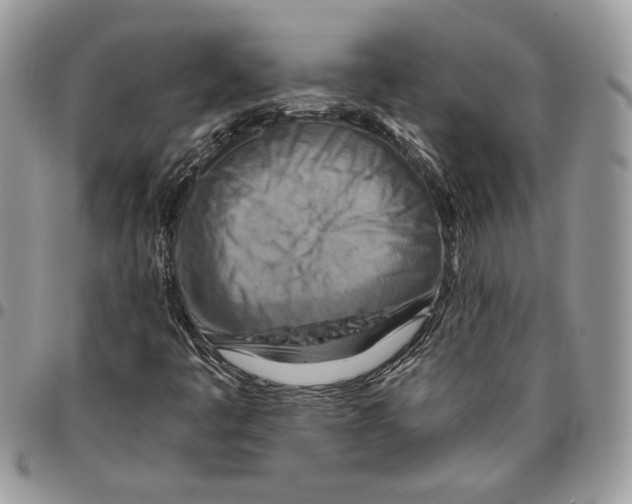 X0000095881445200802081044