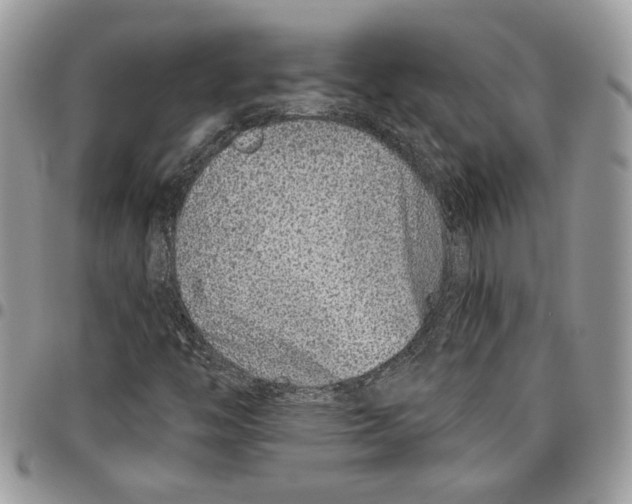 X0000095881446200802081044