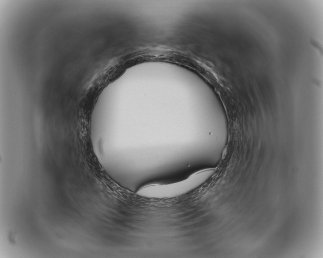 X0000095881447200802081044