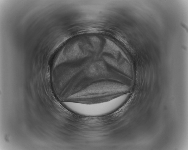 X0000095881450200802081043