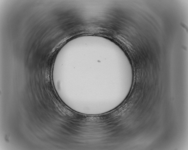 X0000095881451200802081043