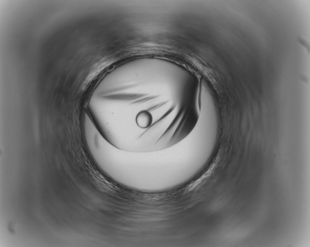 X0000095881453200802081043