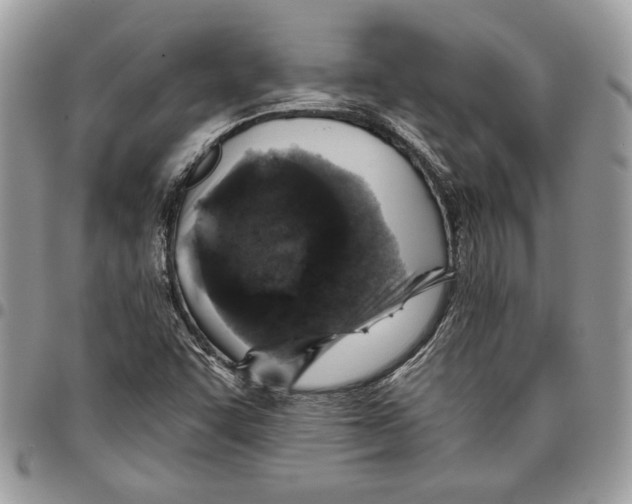 X0000095881455200802081043