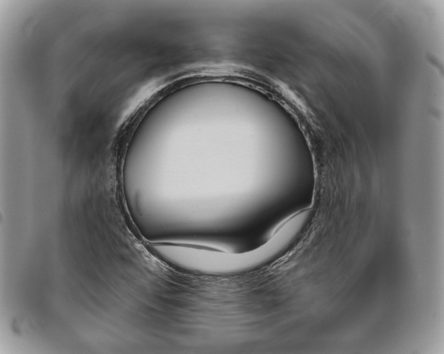 X0000095881456200802081043