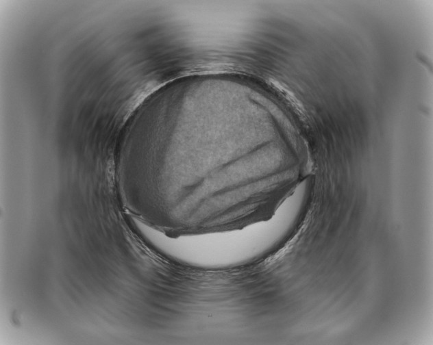 X0000095881457200802081043