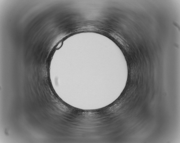 X0000095881458200802081043