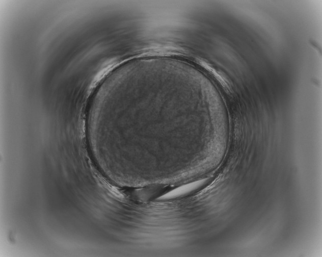 X0000095881459200802081043