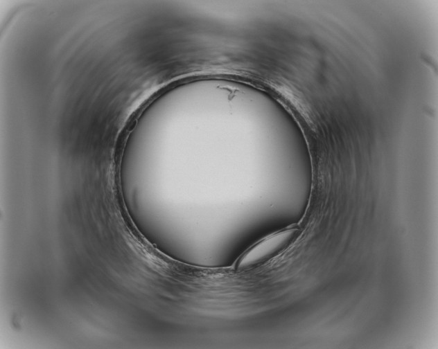 X0000095881460200802081043