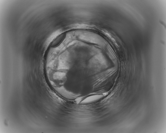 X0000095881463200802081043