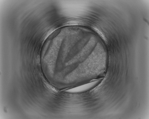 X0000095881465200802081043