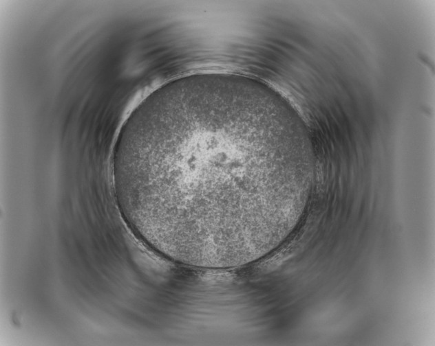 X0000095881466200802081043