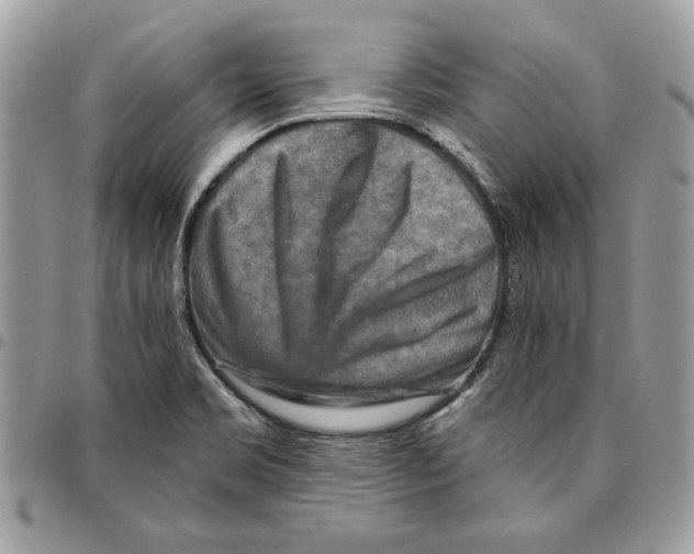 X0000095881469200802081043