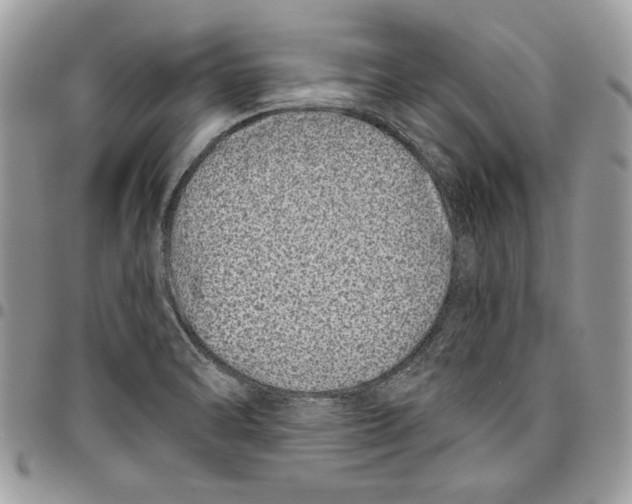 X0000095881470200802081043