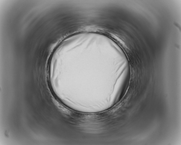 X0000095881471200802081043