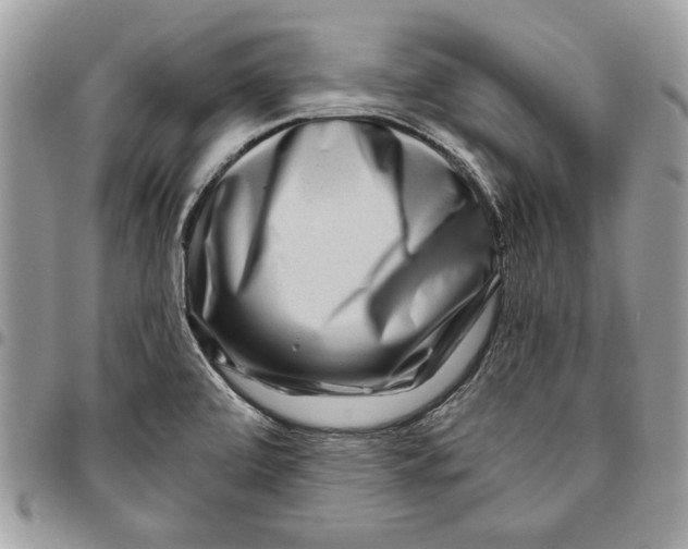 X0000095881472200802081043