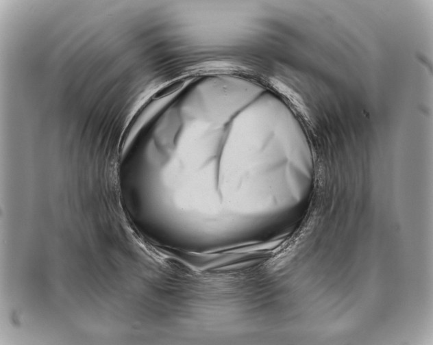 X0000095881473200802081043