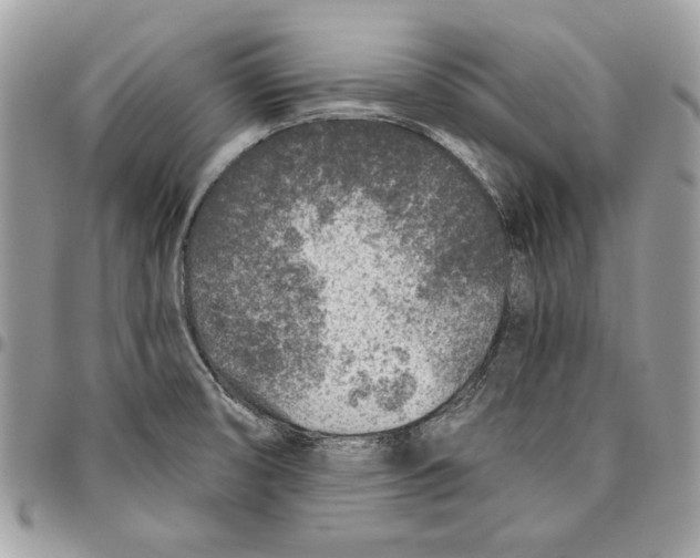 X0000095881474200802081043