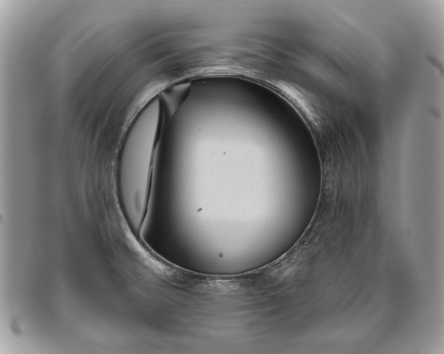 X0000095881476200802081043