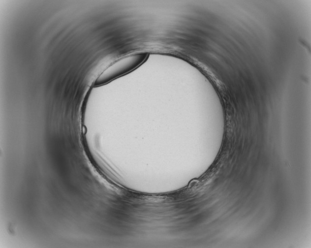 X0000095881479200802081043